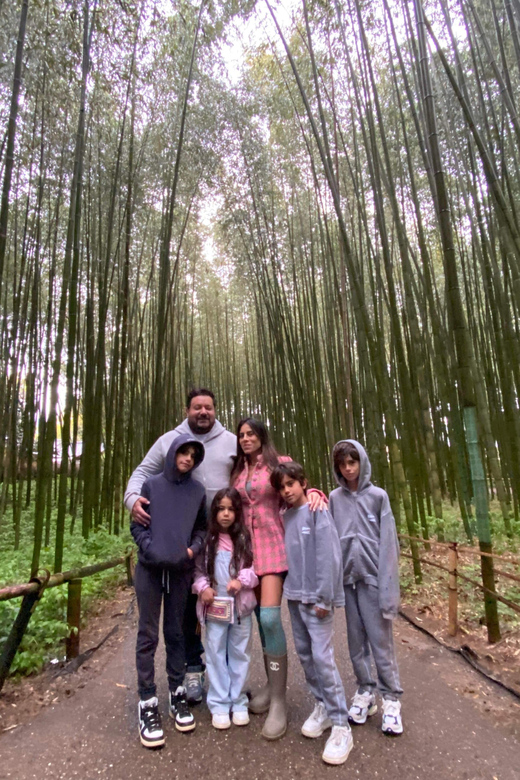 Nara and Kyoto Tour - Introduction