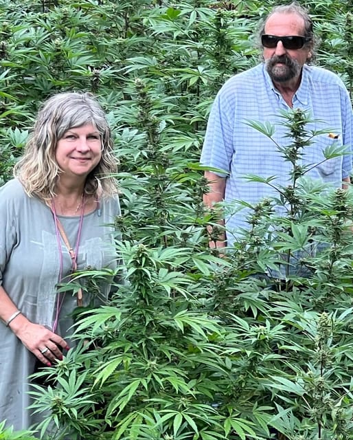 Montego Bay: Marijuana Farm Private Tour with Transportation - Tasting and Product Sampling