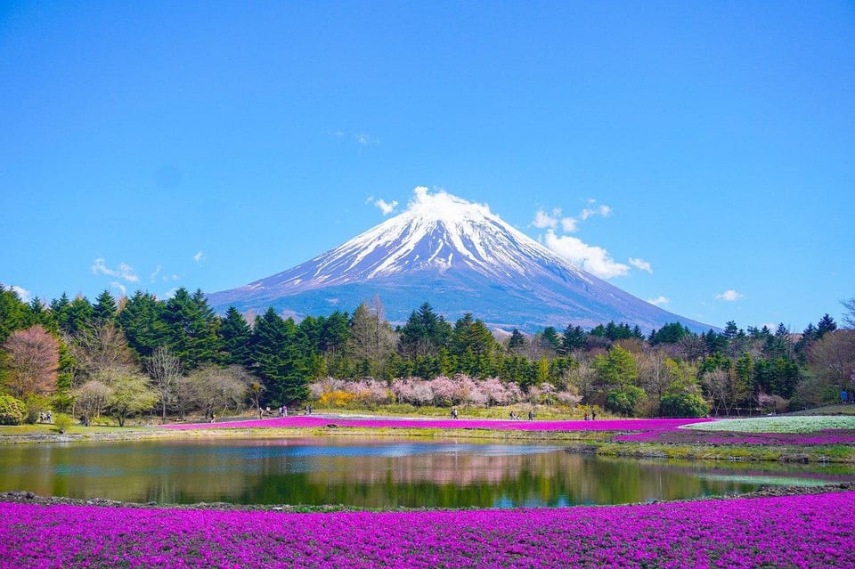 Mount Fuji - Private Tour with English Speaking Chauffeur - FAQ