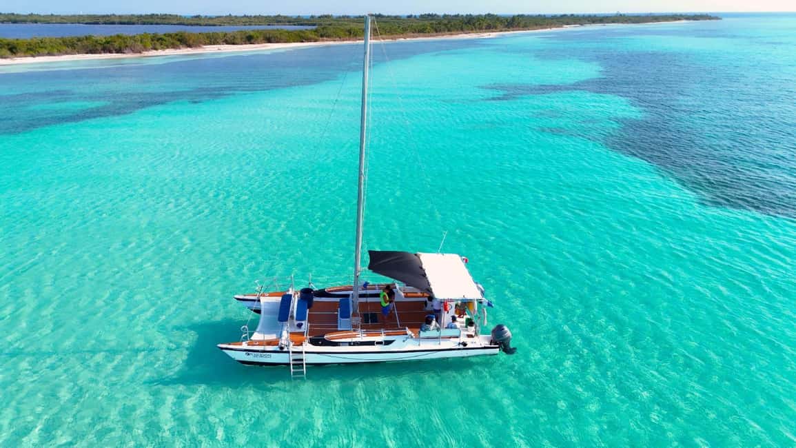 4 Hour Turtle Sanctuary Experience on a Luxury Catamarán - Full Review: What’s the Experience Like?
