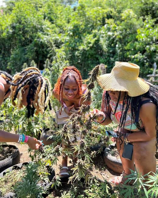 Marijuana Farm & Bamboo Rafting with Limestone Foot Massage - The Sum Up