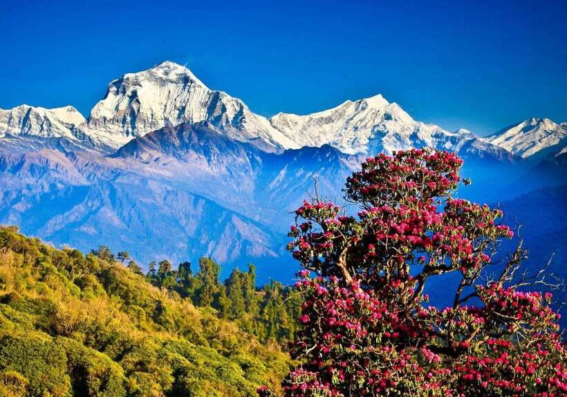 Poon-Hill Nepal - An In-Depth Look at the Poon-Hill Trek