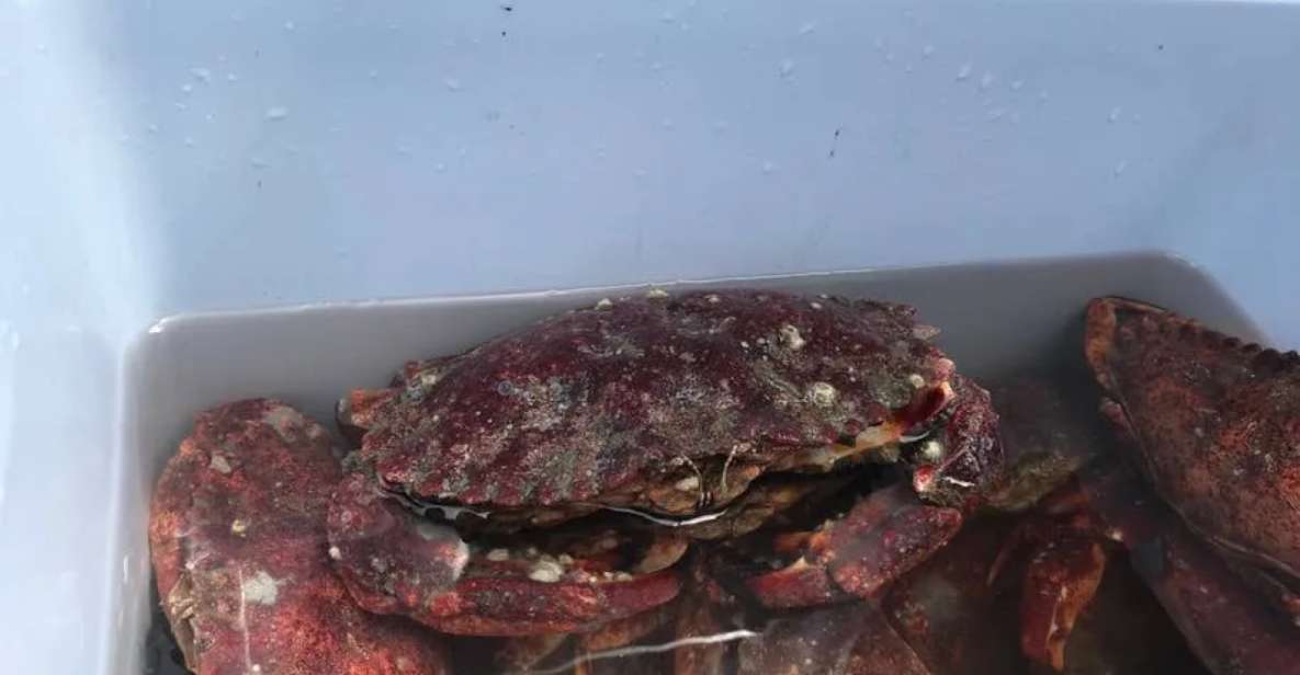 San Francisco: Crab & Cook under the Golden Gate Bridge - The Heart of the Experience: Crabbing Under the Golden Gate