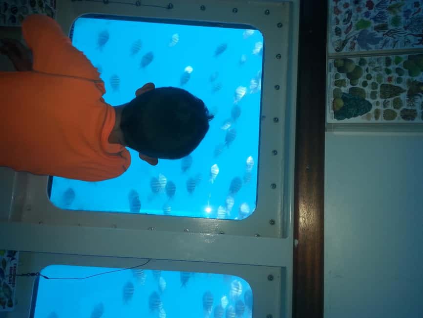 Saona Island in a semi-submarine and snorkeling. - Key Points