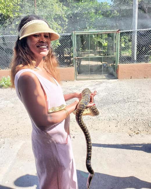 Martha Brae River Bamboo Rafting and Swamp Safari Day Tour - Authenticity, Value, and Who Will Love This Tour