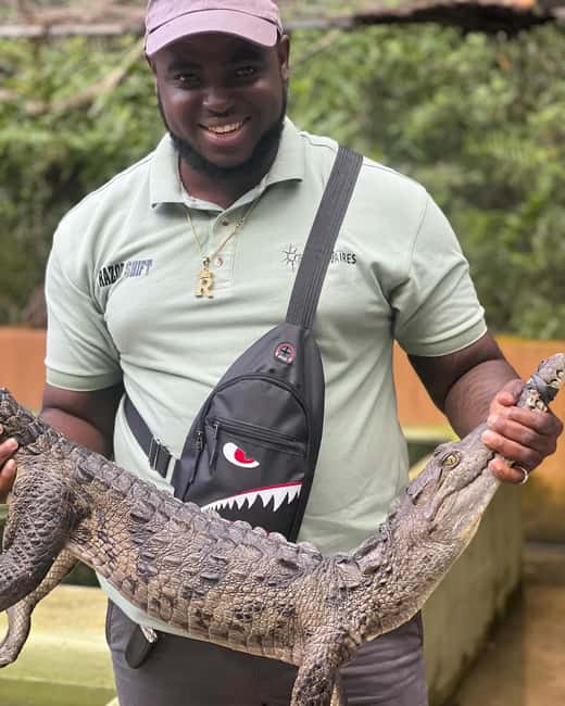 Martha Brae River Bamboo Rafting and Swamp Safari Day Tour - In The Sum Up
