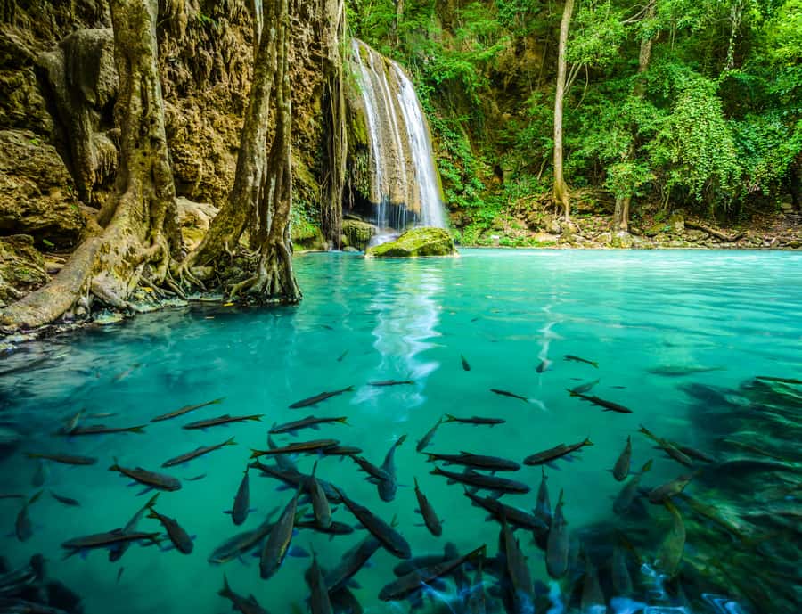 Bangkok: Kanchanaburi, River Kwai & Erawan Fall Private Tour - Practical Details & Why They Matter