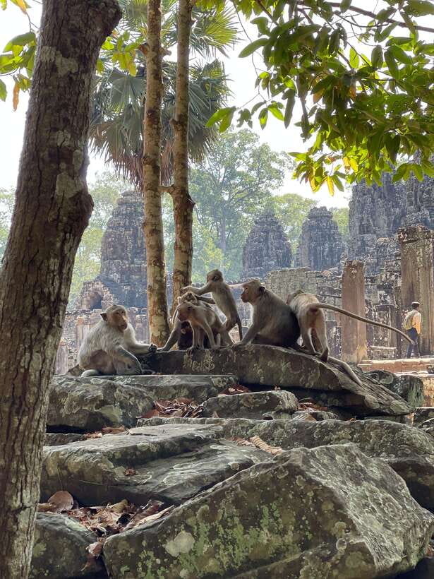 Angkor Wat Sunrise Private Full Day Tour - Frequently Asked Questions