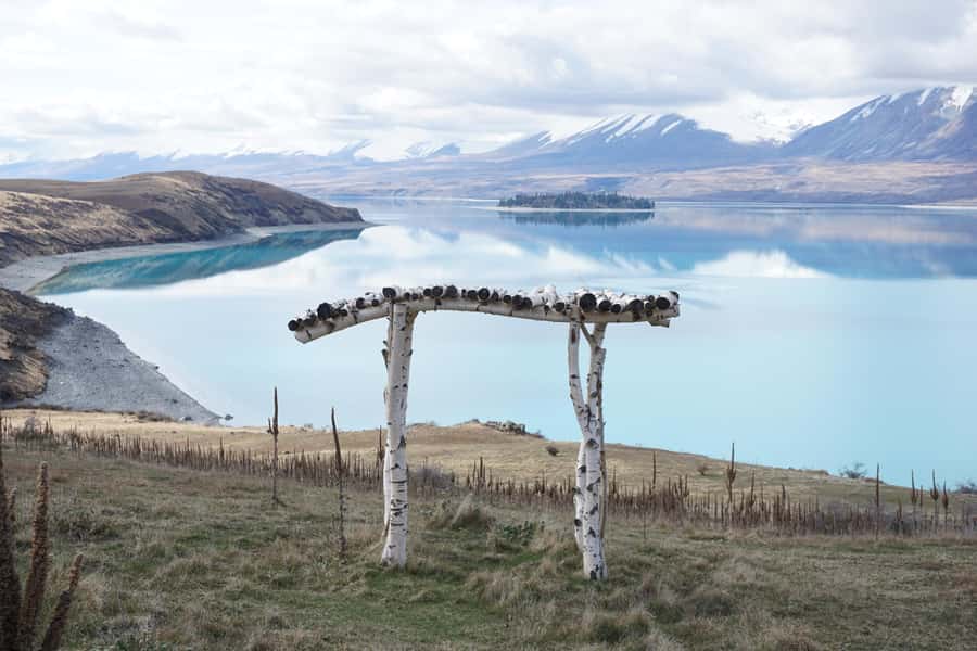 Lake Tekapo High Country Farm Tour (Carbon Positive) - The Itinerary: What to Expect from Start to Finish