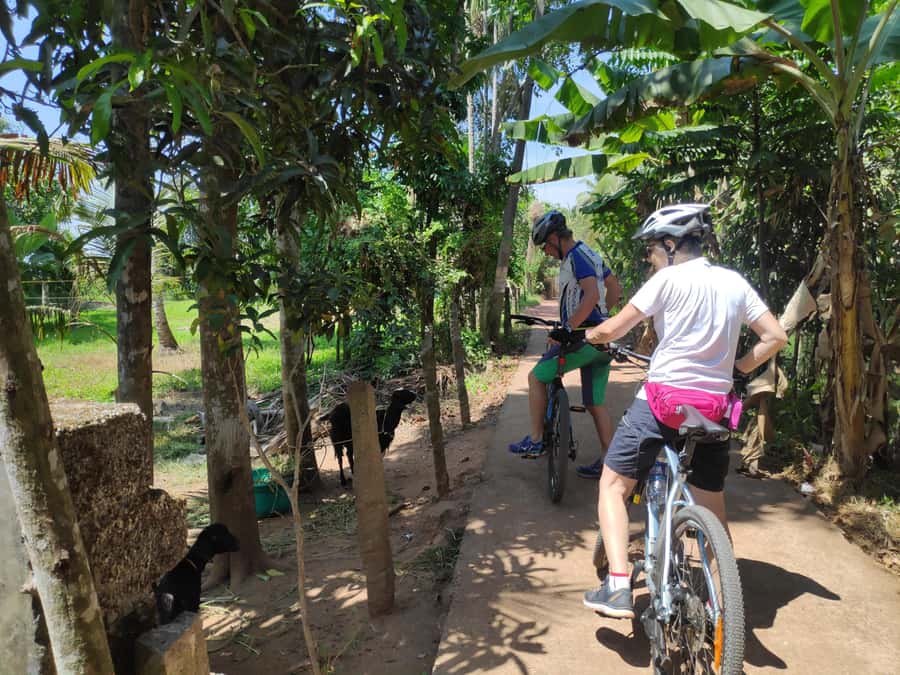 Kerala Backwater Village Cycling Tour (Kumarakom) - Practical Information: What You Need to Know