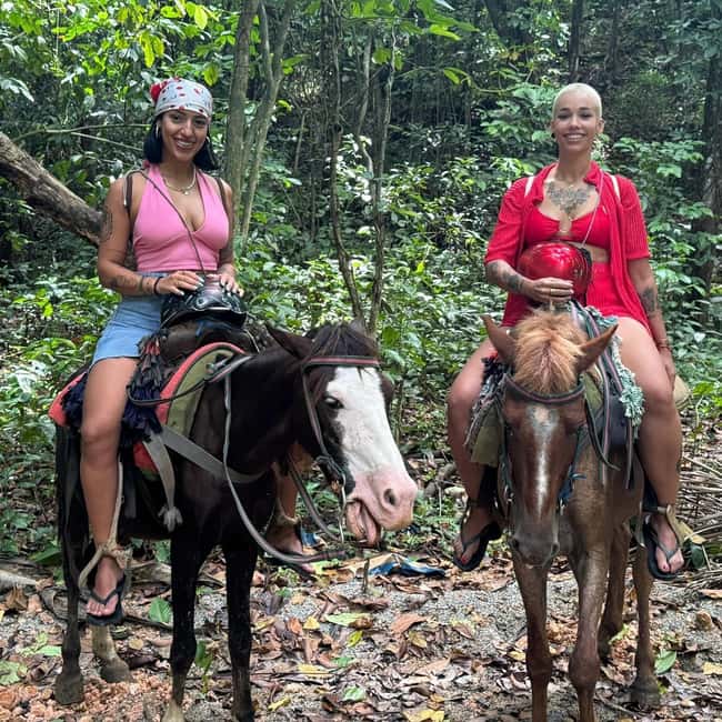 Punta Cana: Guided Horseback Tour of Beaches and Fields - Key Points