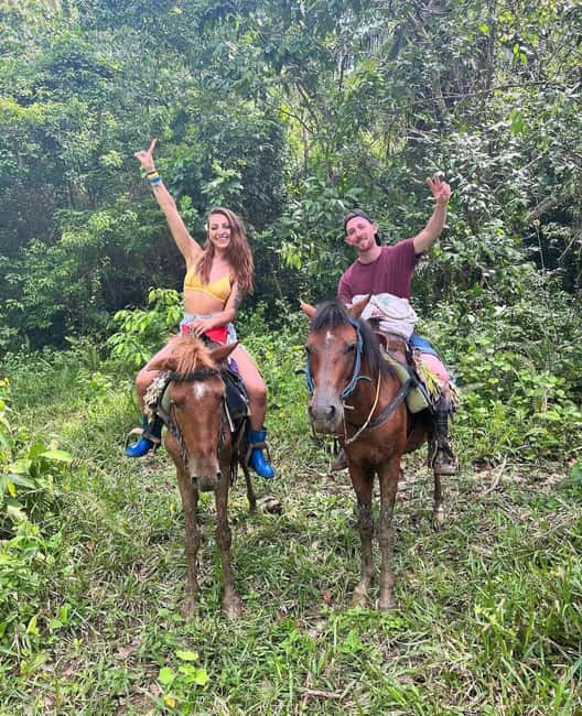Punta Cana: Guided Horseback Tour of Beaches and Fields - Who Will Love This Tour?