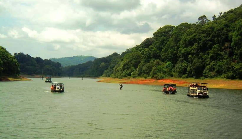 Wilderness & Culture: One Day Tour of Thekkady with Jeep !! - Value & Practicality