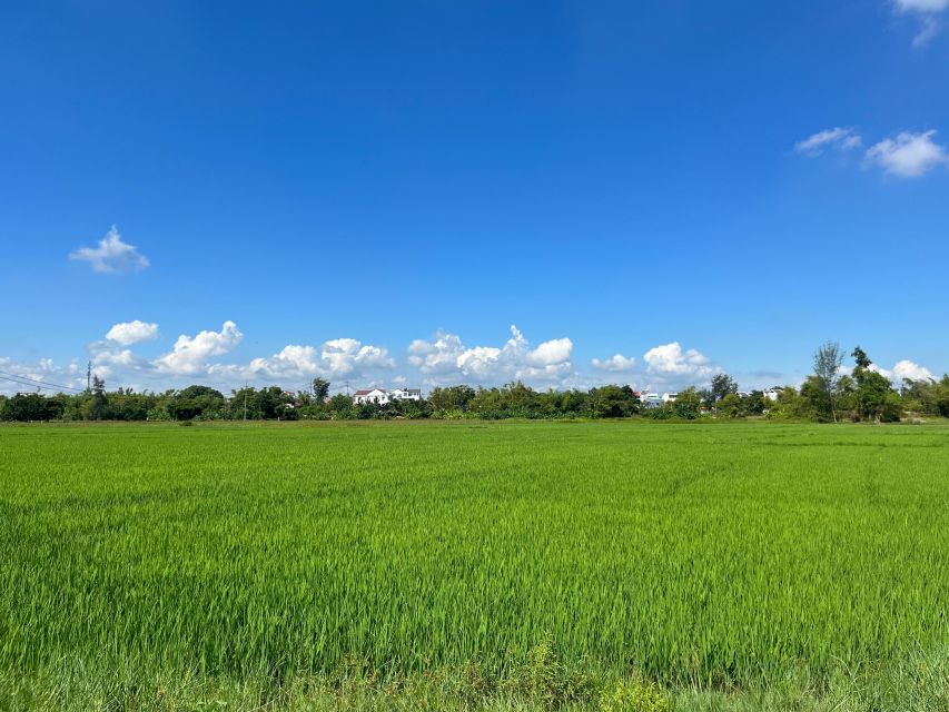 Funny day cycling, Buffalo riding and Basket boat - Good To Know