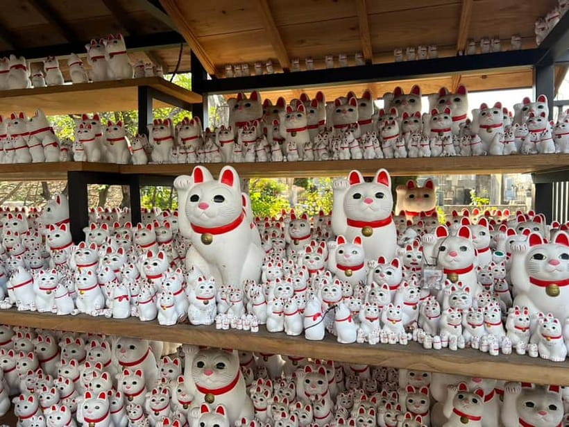 Tokyo:An Unique temple Walking Tour for cat lovers - The Charm of Beckoning Cats and Their Cultural Roots