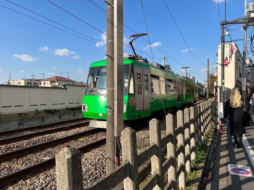 Tokyo:An Unique temple Walking Tour for cat lovers - FAQ