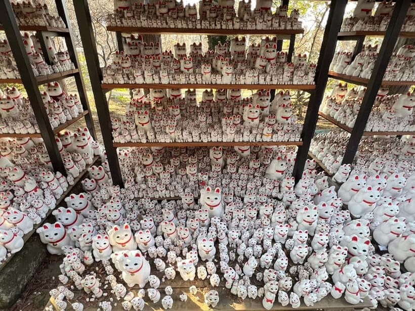 Tokyo:An Unique temple Walking Tour for cat lovers - Final Thoughts: Who Is This Tour Perfect For?