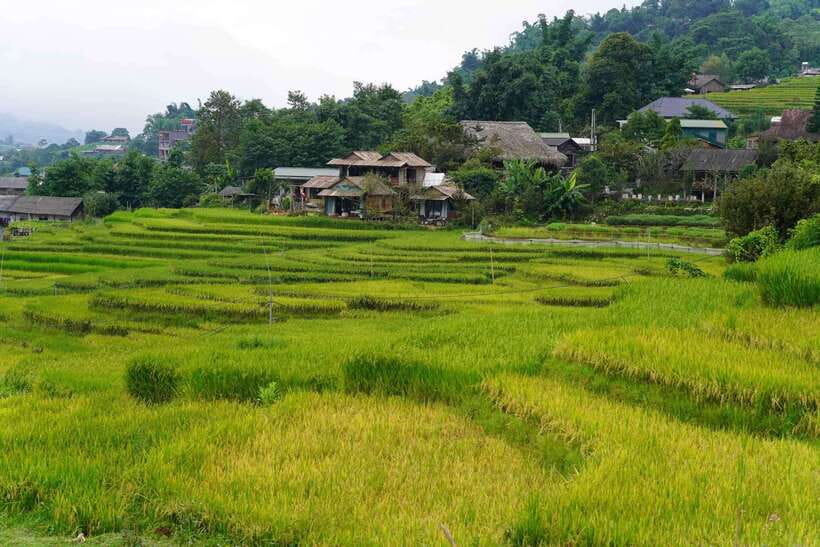 Half Day Sapa Trekking to Visit Lao Chai - Ta Van - FAQ