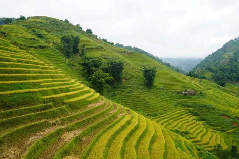 Half Day Sapa Trekking to Visit Lao Chai - Ta Van - Transportation and Practicalities