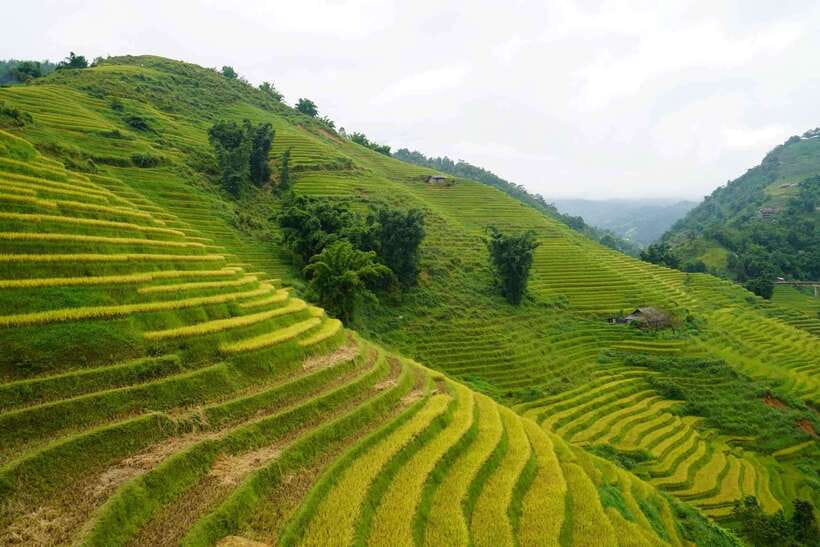 Half Day Sapa Trekking to Visit Lao Chai - Ta Van - The Itinerary: What to Expect