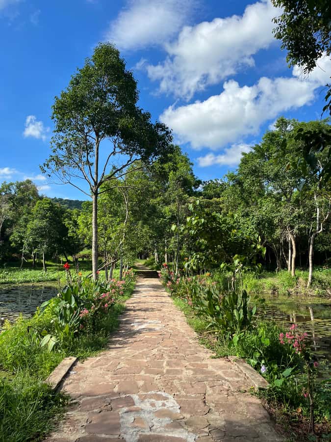 Early My Son tour/transfer to avoid crowd and the heat - Final Thoughts