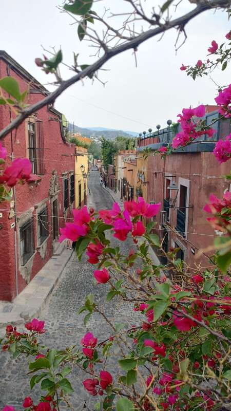 SAN MIGUEL SUNSET WALKING TOUR - Who Should Sign Up?