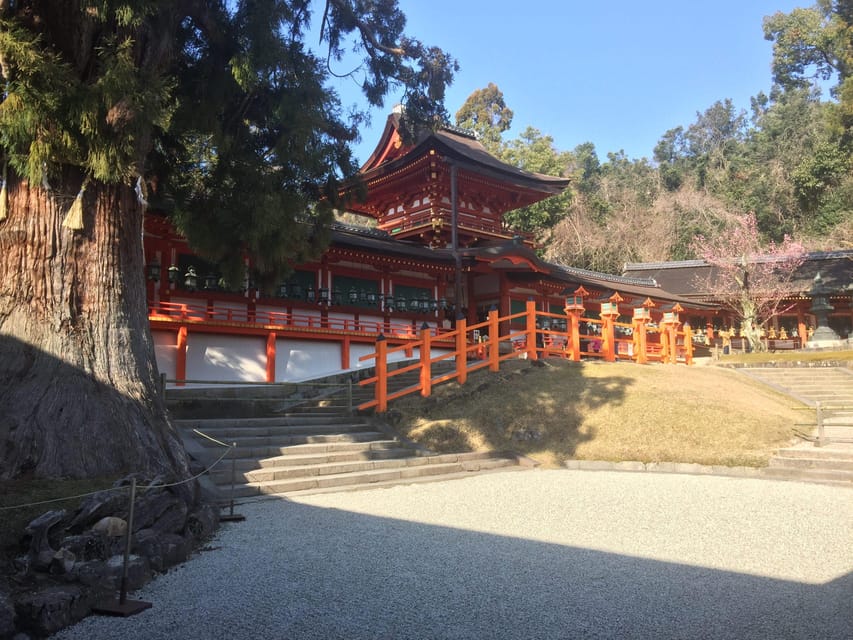 Nara: Full-Day Private Guided Tour - Why This Tour Works Well