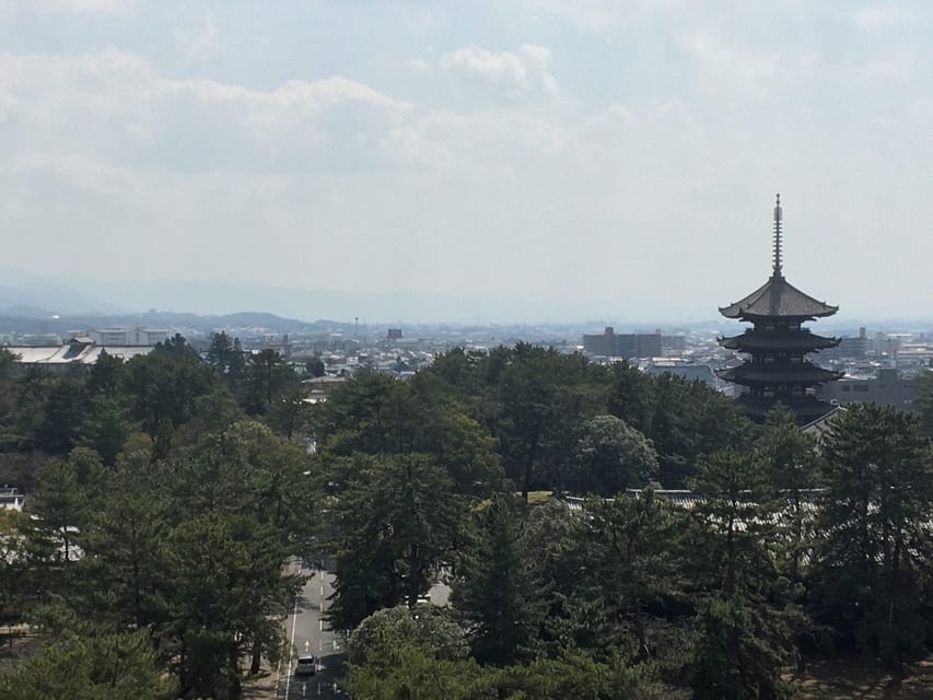 Nara: Full-Day Private Guided Tour - An In-Depth Look at the Tour Itinerary