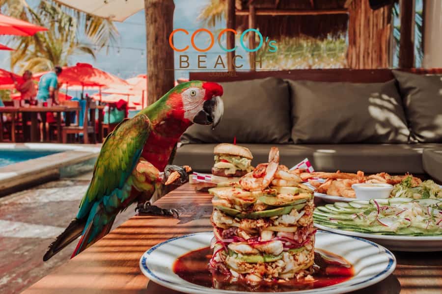 Cozumel: Private Jeep & ATV Tour to Jade Cavern w Snorkeling - Jade Cavern and Punta Sur Park: Highlights of the Land Adventure