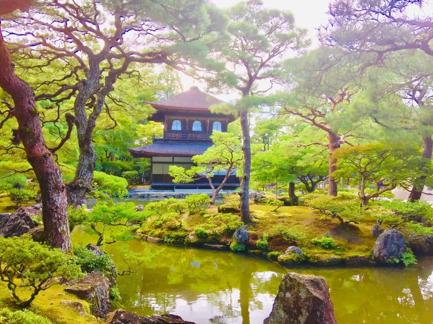 Kyoto: Full-Day Private Guided Tour of Temples and Shrines - Why This Tour Offers Great Value