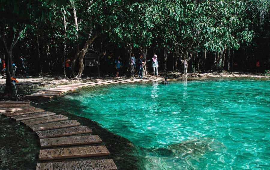 Emerald pool-hot springs -tiger cave by VIP van - Experience Krabi’s Natural and Cultural Treasures in Style: Emerald Pool, Hot Springs, and Tiger Cave by VIP Van