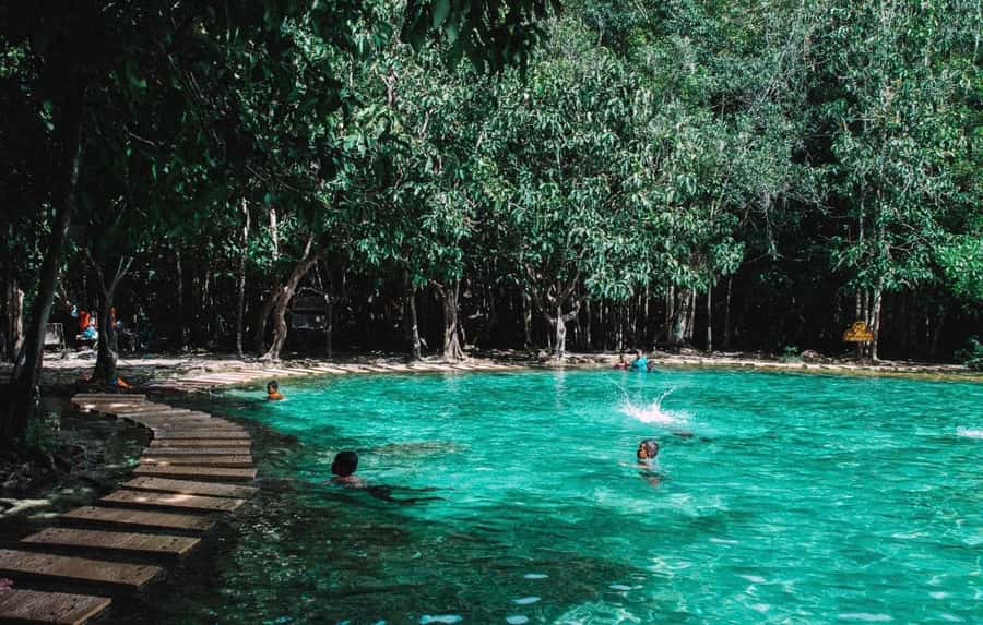 Emerald pool-hot springs -tiger cave by VIP van - Exploring the Itinerary: What to Expect