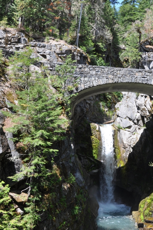 From Seattle: Customized Mount Rainier Tour - What to Expect on This Scenic Day Trip