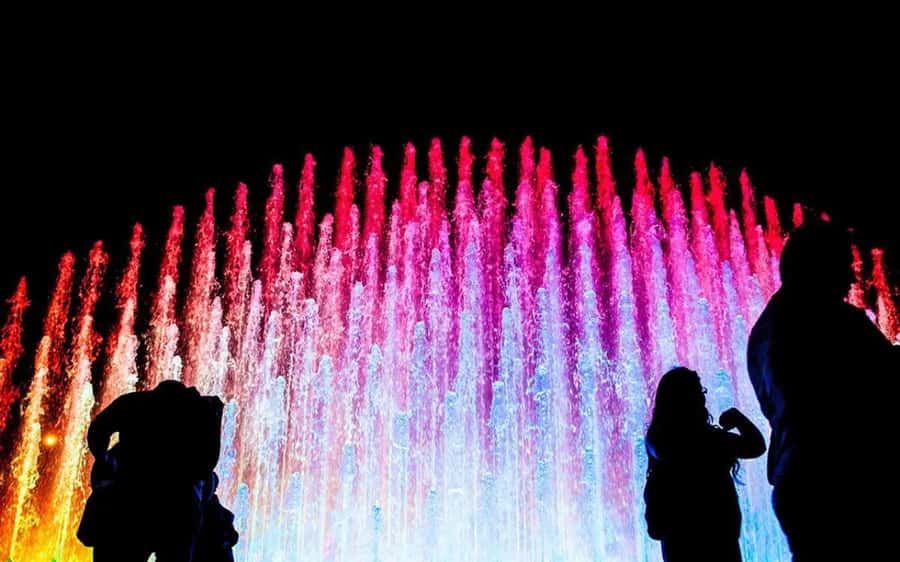Magic Fountains Park - Light Show & Bohemian Barranco Tour - Who This Tour Is Best For