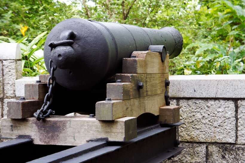 Singapore 2.5-Hour Walking Tour: Graves, Guns & Battles - The Sum Up