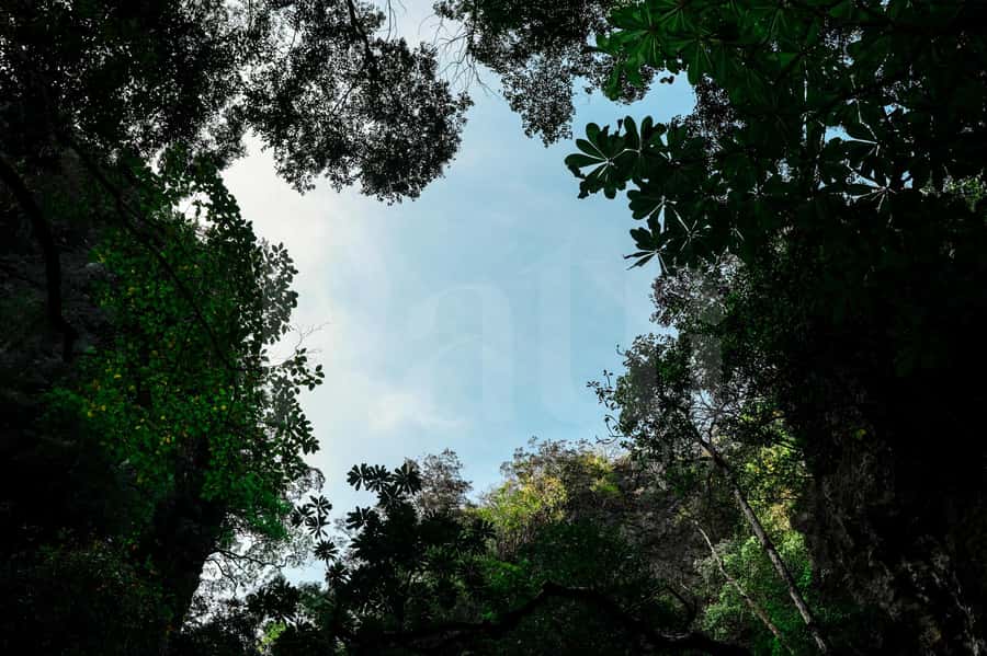 Phuket: Sunset Seafood Dinner Cruise In Phang Nga Bay - Practical Insights and What to Know