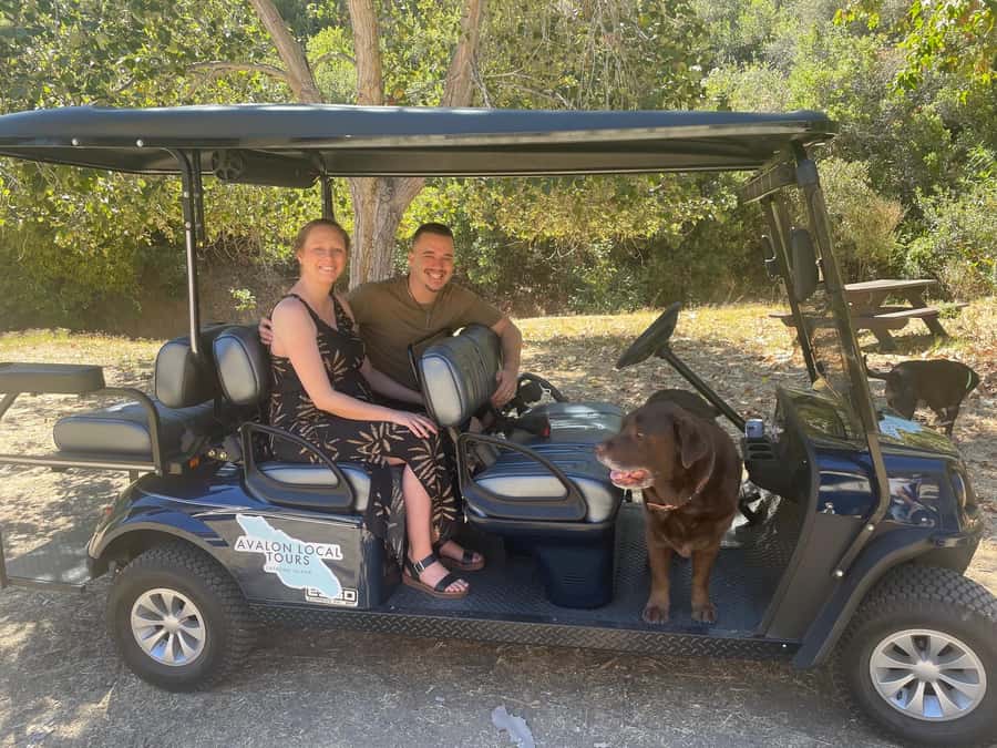 Avalon: Private Golf Cart Tour with Driver-Guide - Transportation and Group Size