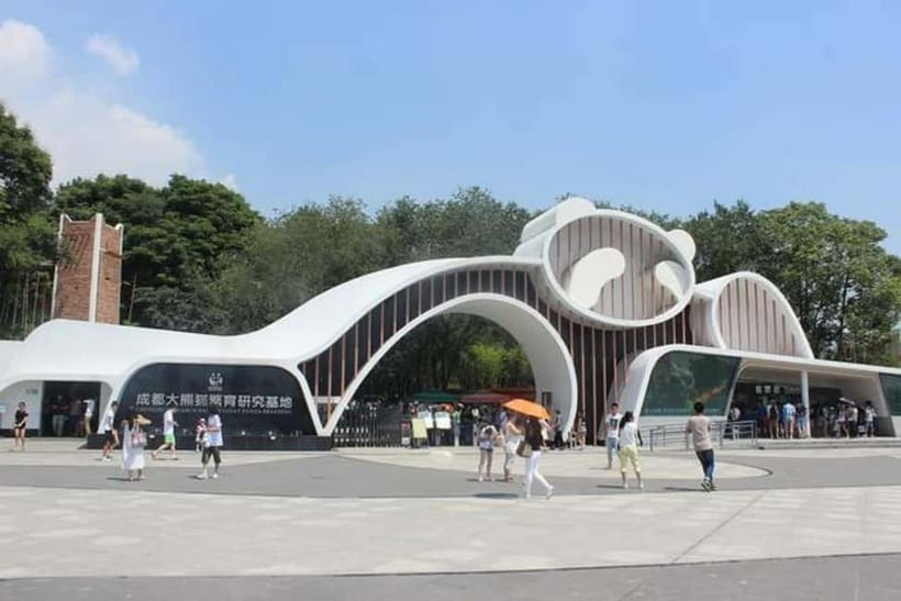 Chengdu: Panda Research Base Ticket or Volunteer Day Trip - The Core of the Experience: Chengdu Panda Base