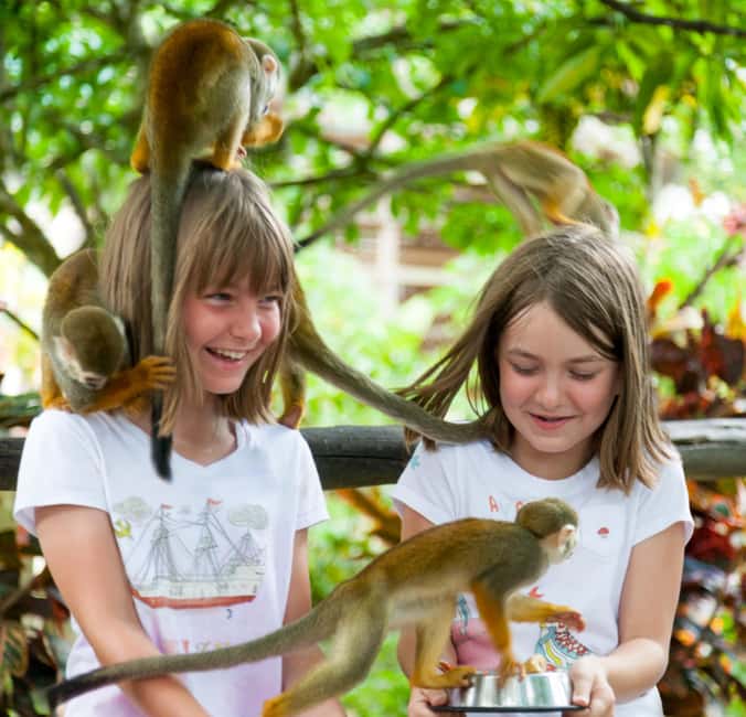 Samaná: Monkeyland and Open-Air Safari Truck Tour - Frequently Asked Questions