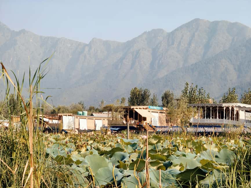 Kashmir Houseboat Tour Package for 3 Days - The Experience: A Deep Dive into the Kashmir Houseboat Tour