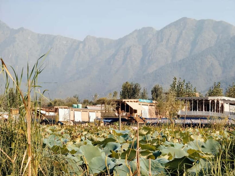 Srinagar: Private Old City and Mughal Gardens Guided Tour - The Sum Up