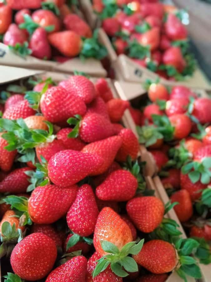 From Kuala Lumpur: Cameron Highlands Private or Join In Tour - Key Points