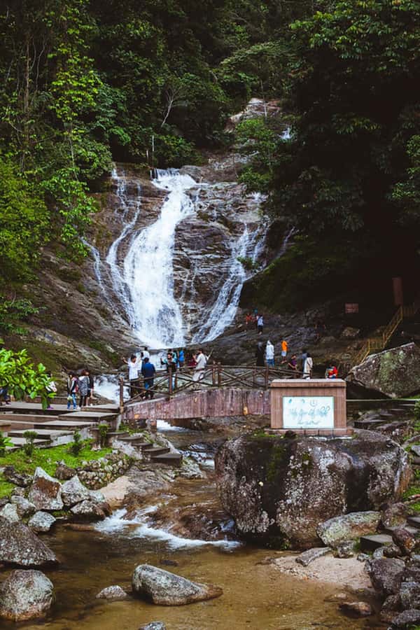 From Kuala Lumpur: Cameron Highlands Private or Join In Tour - The Bottom Line