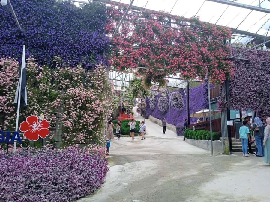 From Kuala Lumpur: Cameron Highlands Private or Join In Tour - Exploring the Cameron Highlands: A Practical Review of the Day Trip from Kuala Lumpur