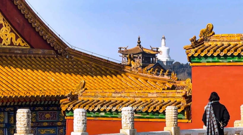 Beijing: Highlights of Forbidden City Private Walking Tour - Value for Money