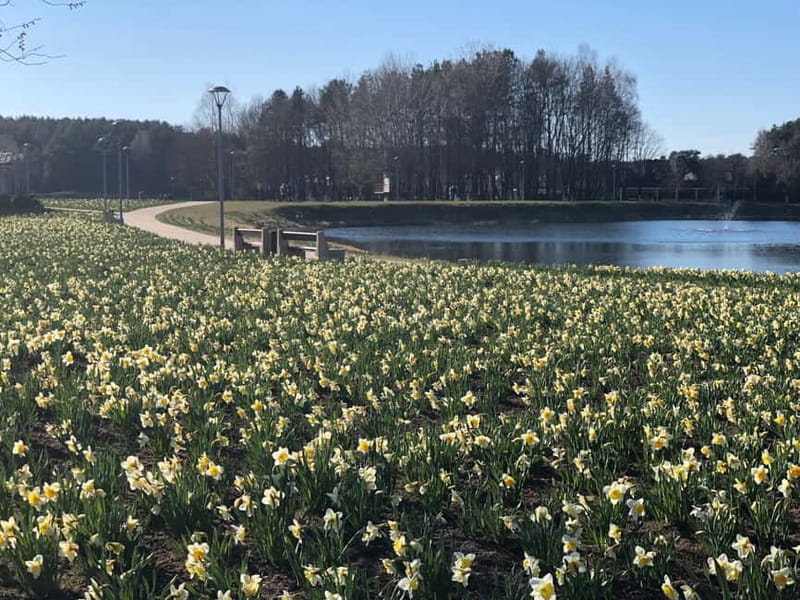 Dzukija National Park and Grutas Park: Full-Day Tour - The Sum Up—who is this tour best for?