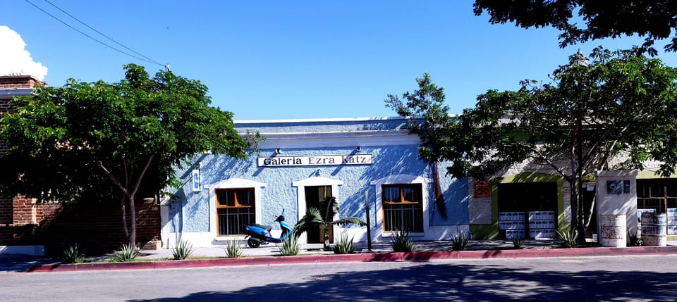 Todos Santos: Art & Culture Experience by Mexican Artist - Frequently Asked Questions