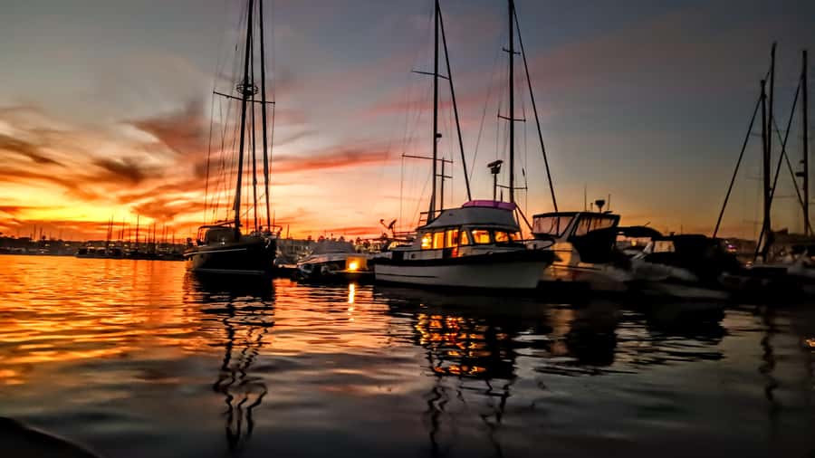 Romantic Sunset & City Lights Wine Cruise  Marina del Rey - What to Expect During the Cruise  