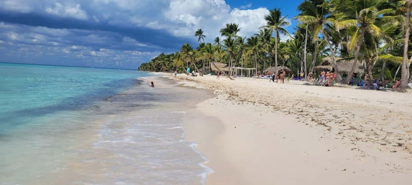 Isla Saona Day Trip From Santo Domingo with Lunch - Discover Isla Saona on a Full-Day Trip from Santo Domingo