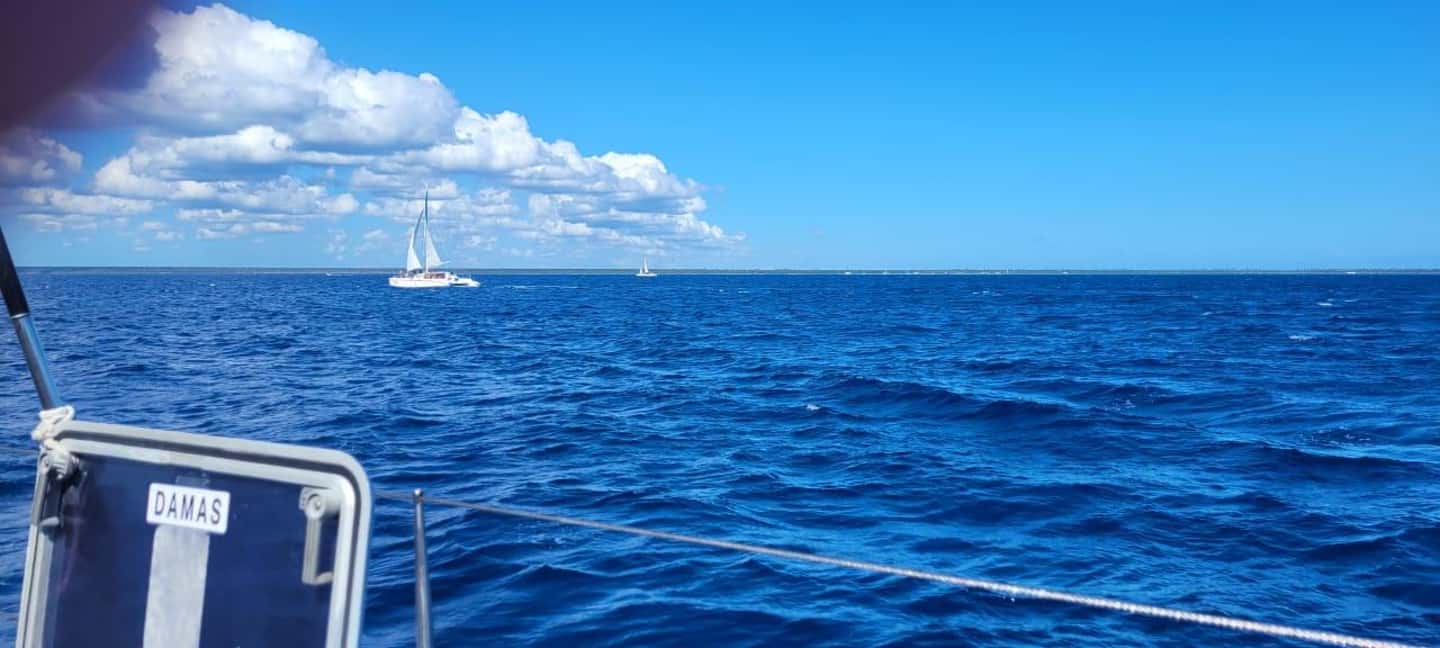 Isla Saona Day Trip From Santo Domingo with Lunch - An In-Depth Look at the Isla Saona Day Trip